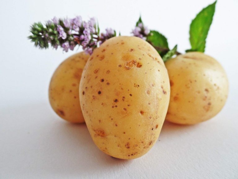 Ízvarázs – Fehérboros vegyes saláta