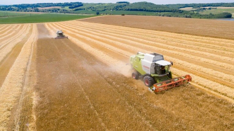 Agrárminisztérium: a termelők határidő előtt egy héttel megkapták az uniós krízistartalékból a visszatérítést
