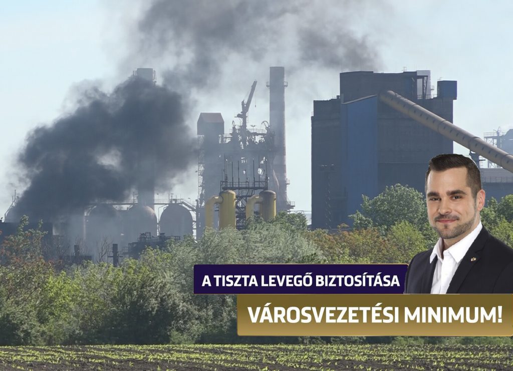 Hogyan lesz oroszlánból „DeKorációs” kiscica