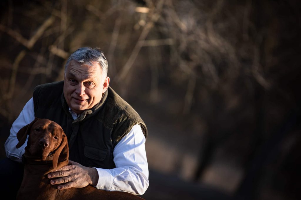 Orbán: az állatvédelem közös ügyünk