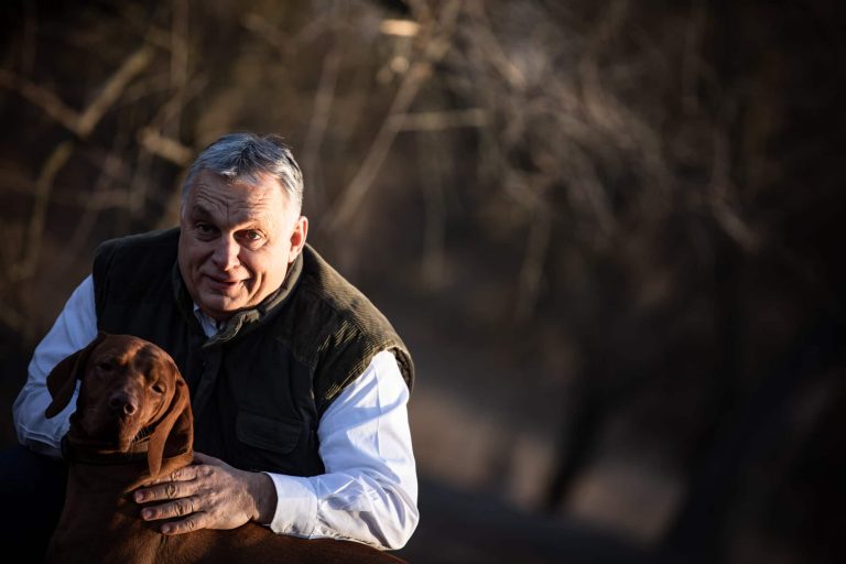Orbán: az állatvédelem közös ügyünk