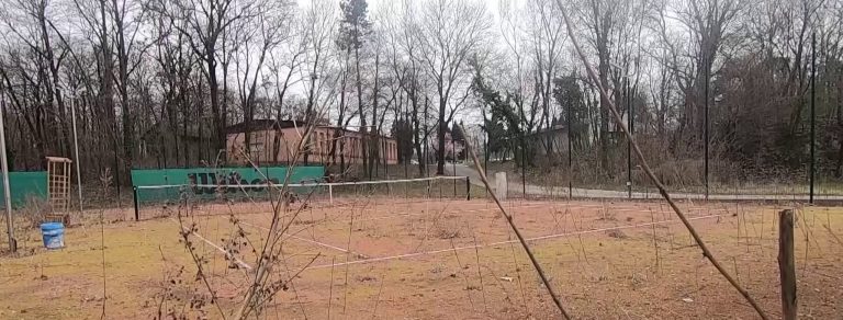 Vidámparki „Előtte – Utána”