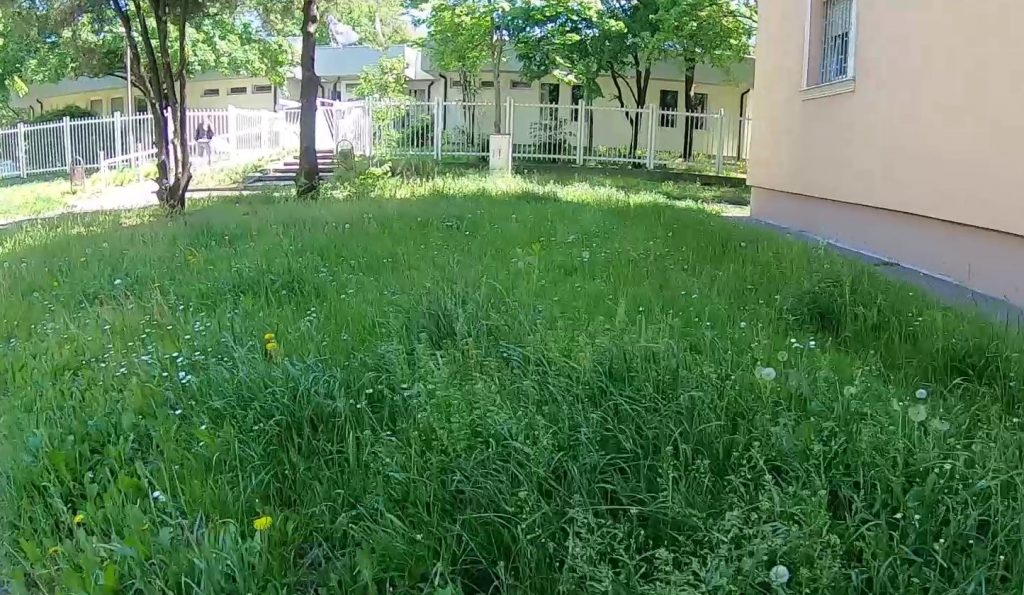 Áldatlan állapotok uralkodnak Dunaújváros zöldterületein