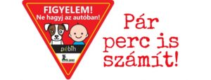 Ne hagyj az autóban