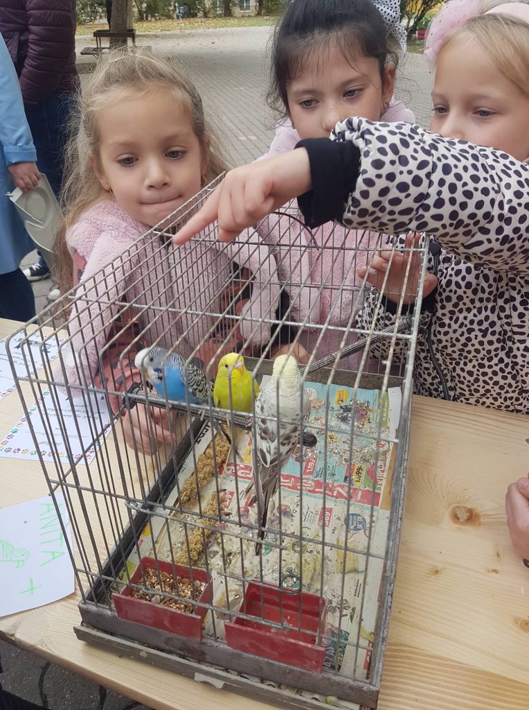Megmutatták háziállataikat egymásnak az iskolások