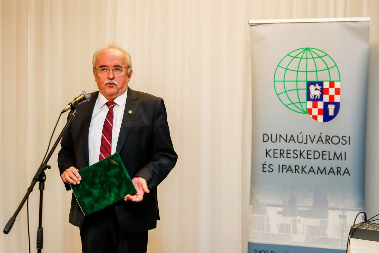 Králik Gyula kapta a Dunaújvárosért díjat