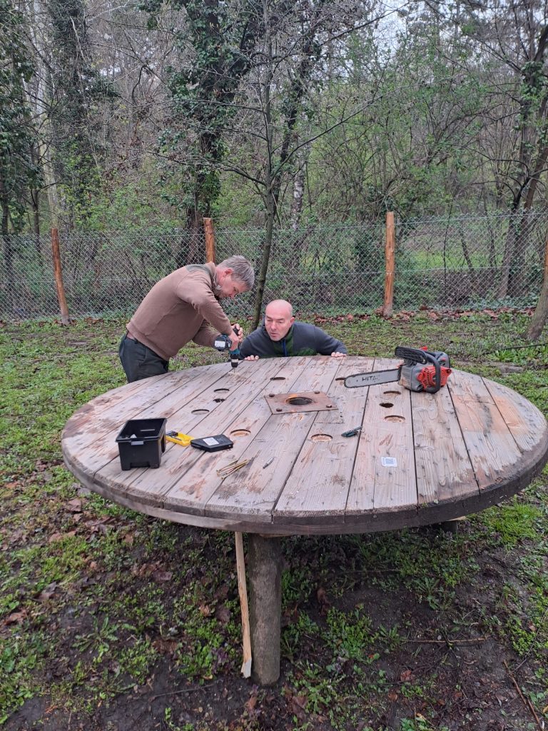 Tovább szépült az arborétum a Hankook támogatásával