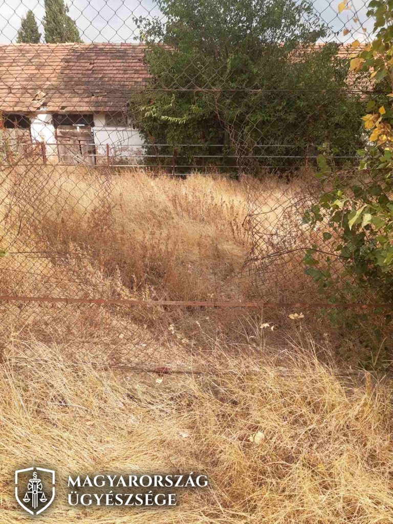 Bodzát lopott a család