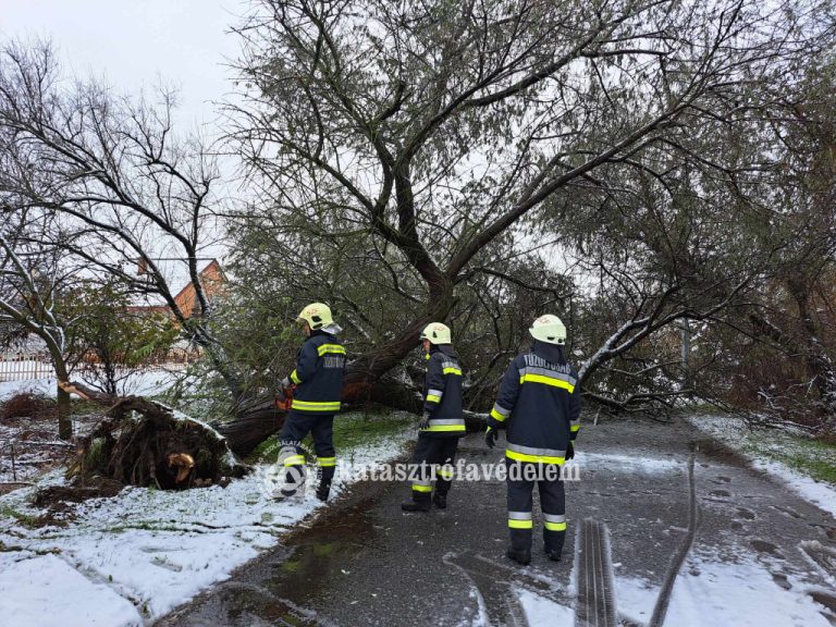 Rengeteg dolga akadt a tűzoltóknak a nagyobb havazás miatt