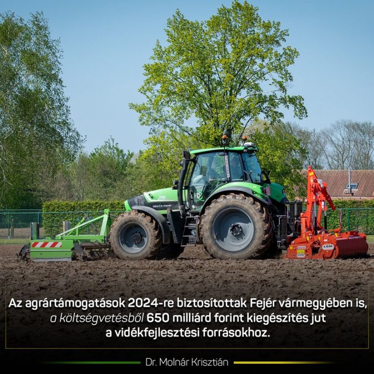 Hamarosan kiírják az erdőgazdálkodási pályázatokat