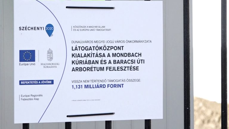 Tort ült a képmutatás a hétvégén Dunaújvárosban