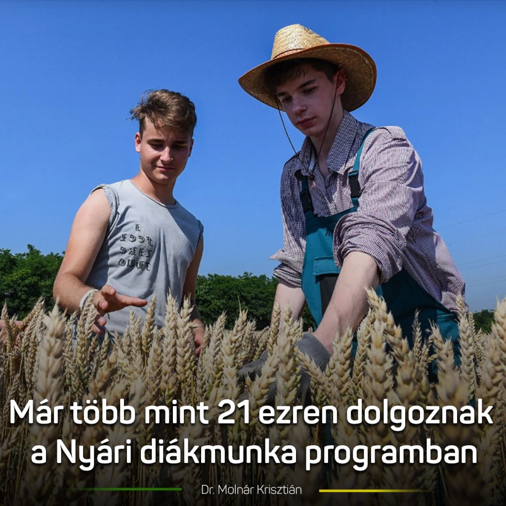 Vármegyénkben 500 diák nyári foglalkoztatása valósulhat meg