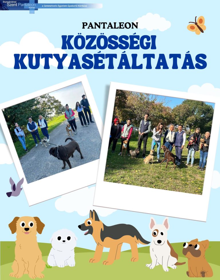 Közös kutyasétáltatást szervezett a kórházi kollektíva