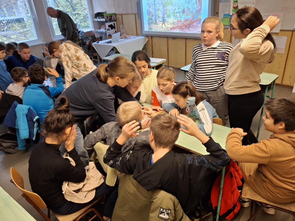 Iskolában az Erdő