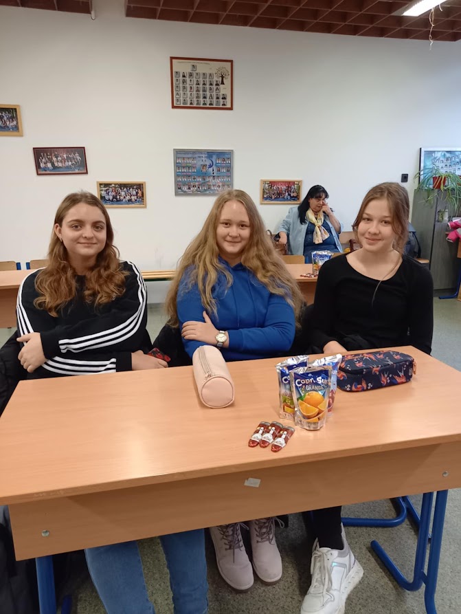 Petőfisek a régiós matekverseny döntőjében