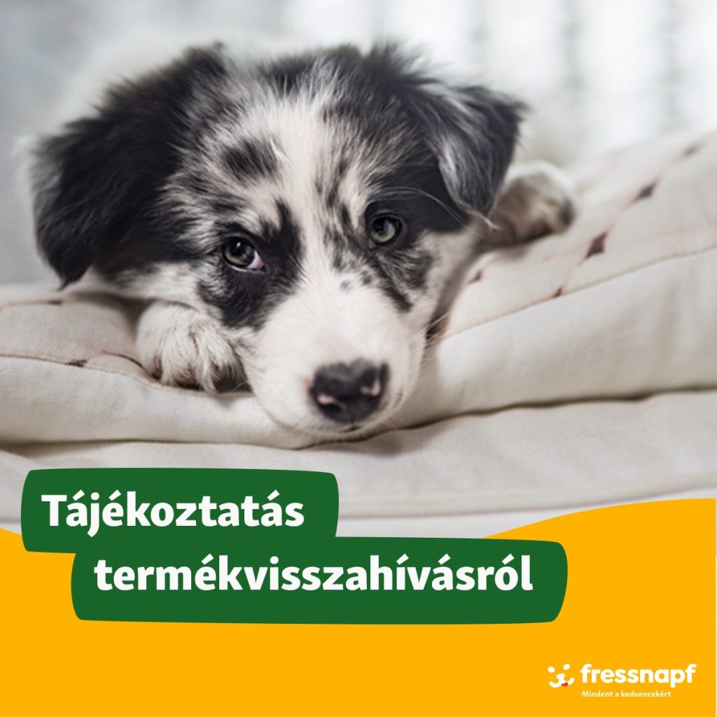 Fertőzés kockázat: visszahívták ezeket az állateledeleket