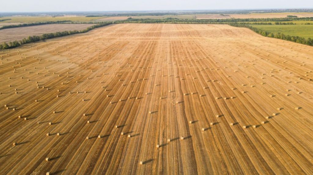 Lehet egy fotós inspirációja a szülőfaluja? Naná, még díjakat is érdemelt!