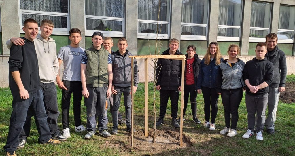 A Hild végzősei egy fát ültettek emlékül a jövőnek