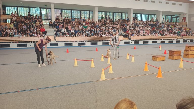 Erzsébet-táborok: a petőfisek most tavasszal is kiruccanhattak Zánkára