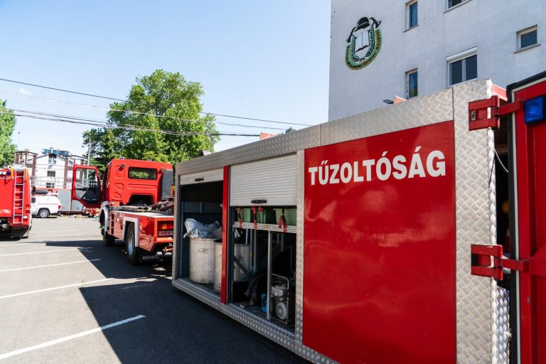 Az ilyen esetek egyötöde a nyáron történt tavaly Fejér vármegyében