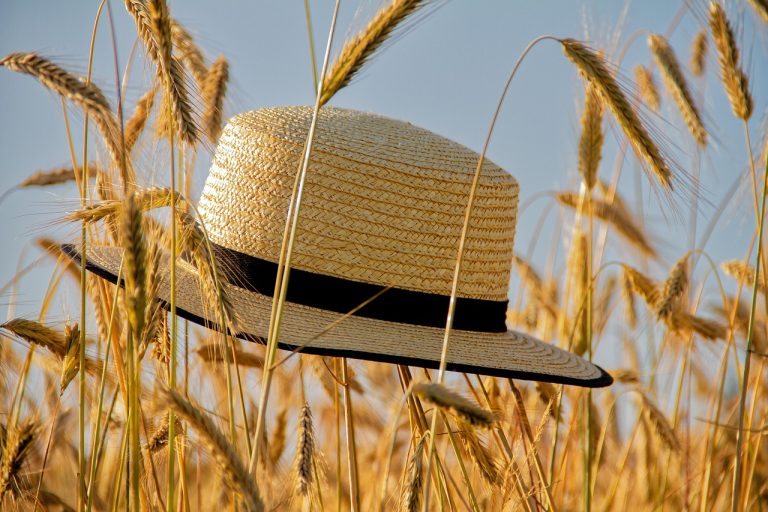 Hőségriasztás: ezekre figyeljünk oda a héten