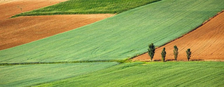 Földet a Gazdáknak – újabb lehetőség állami földterületet szerezni Fejérben is!