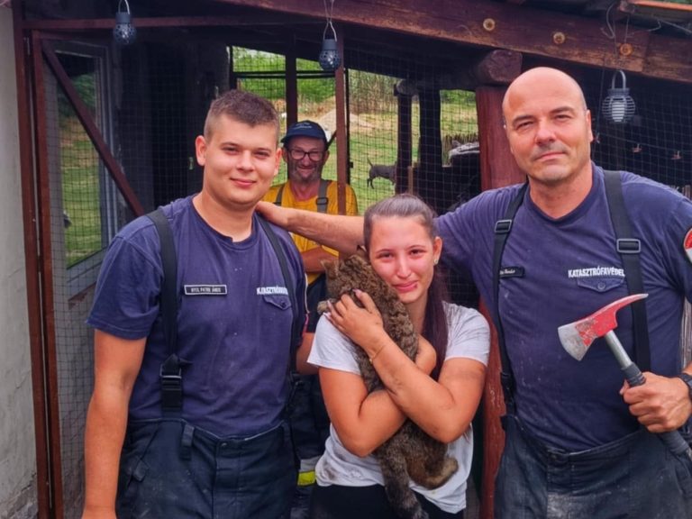 A dunaújvárosi lánglovagok és a Bella-mentőakció