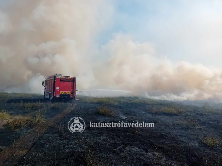 Kisapostag határába is riasztották a tűzoltókat – továbbra is tűzgyújtási tilalom van