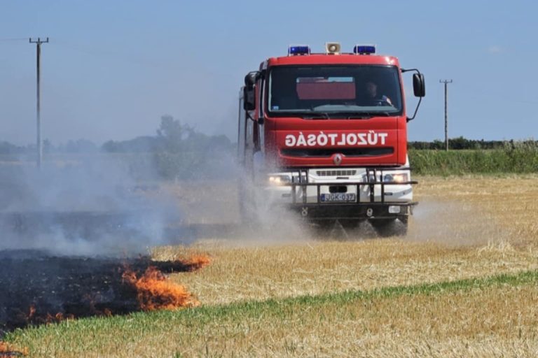 Feloldották a tilalmat Fejér vármegyében is