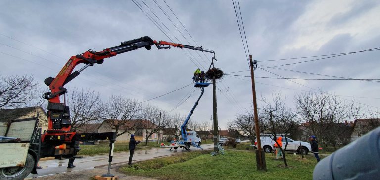 Az E.ON villanyoszlopain idén már 3300 biztonságos fészek várja a gólyákat