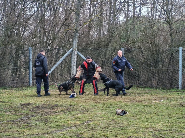 Az idegenrendészet ezért volt jelen a pálhalmai bv. intézetben a héten