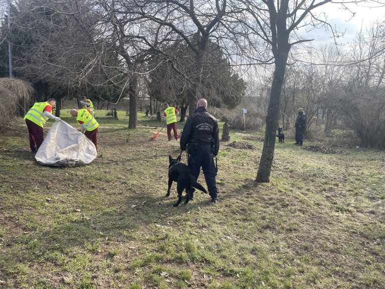 A pálhalmai fogvatartottak rendbe tették az emlékmű környékét az ünnepre
